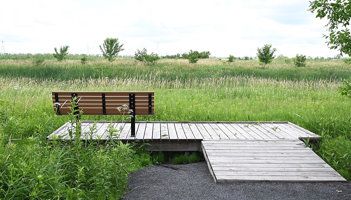 une passerelle en bois avec un banc de parc sur celui-ci